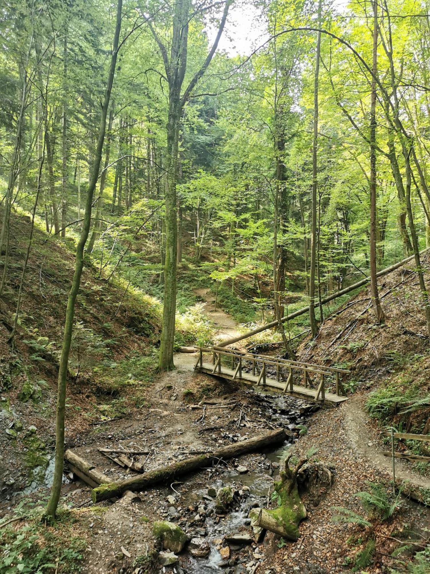 Willa Traumhaftes Ferienhaus am Lateinberg - 8455 Eibiswald Südsteiermark Zewnętrze zdjęcie