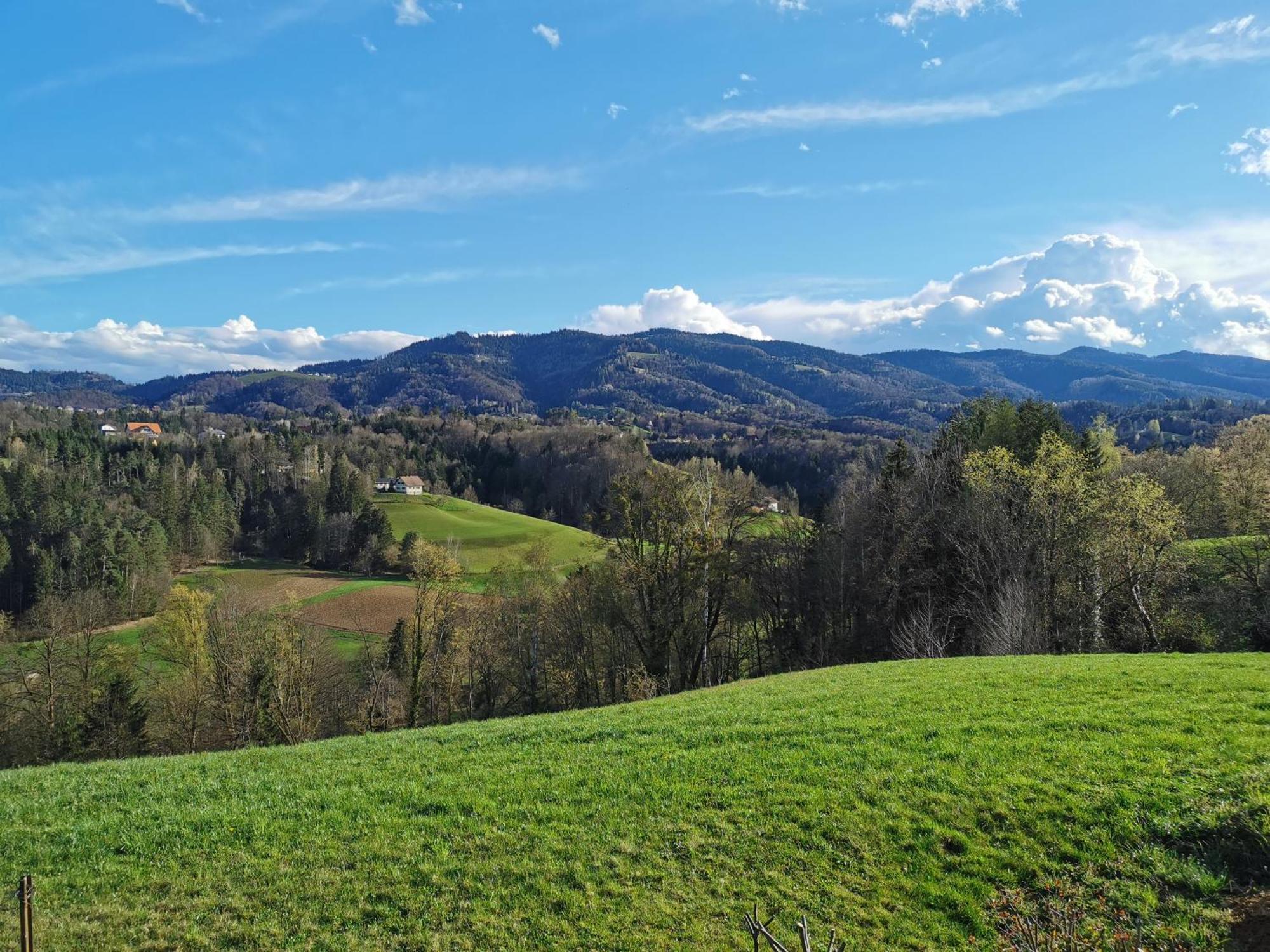 Traumhaftes Ferienhaus Am Lateinberg - 8455 Eibiswald Suedsteiermark Zewnętrze zdjęcie